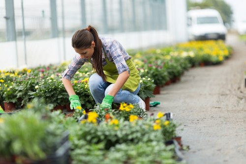 Professional gardener clearing garden debris
