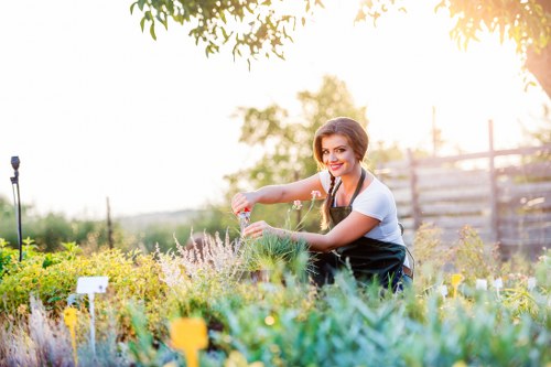 Beautiful garden landscape by GetGardener