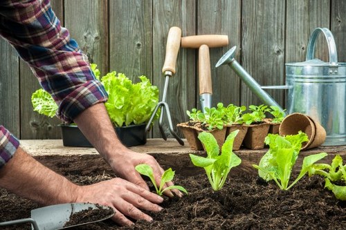 Professional gardener enhancing curb appeal in Get