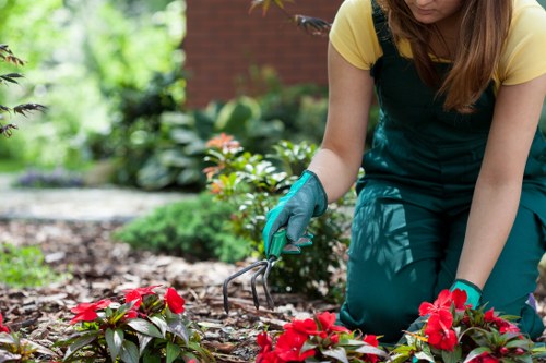 Worker wearing PPE assessing a garden task