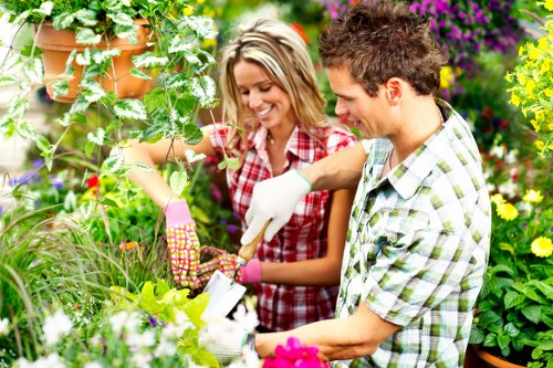 Advanced hedge trimming equipment for professional gardening