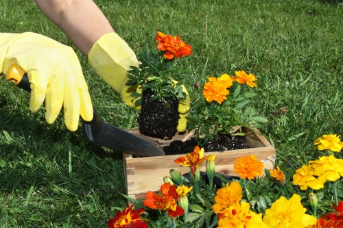 Professional gardener planning a landscape layout