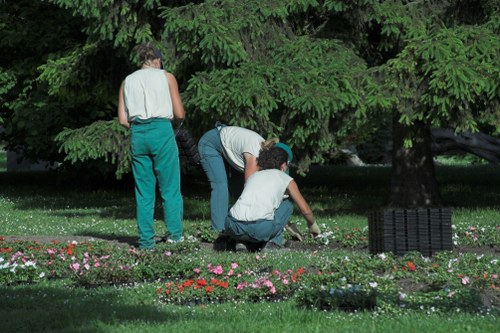Tree removal process conducted by Get ? Gardener
