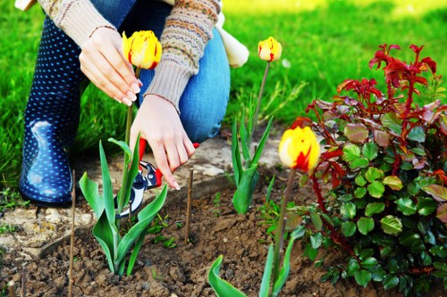 Gardener using high-quality hedge trimming tools
