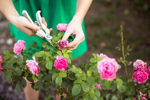 Sustainable gardening practices by GetGardener