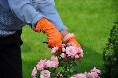 Seasonal hedge trimming process in a vibrant garden