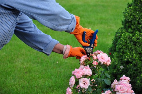 Risk assessment checklist and safety signage in a garden