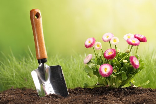 Healthy and well-maintained garden post-clearance