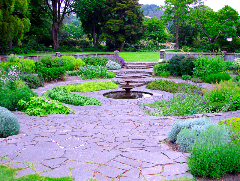 lawn care lawn maintenance